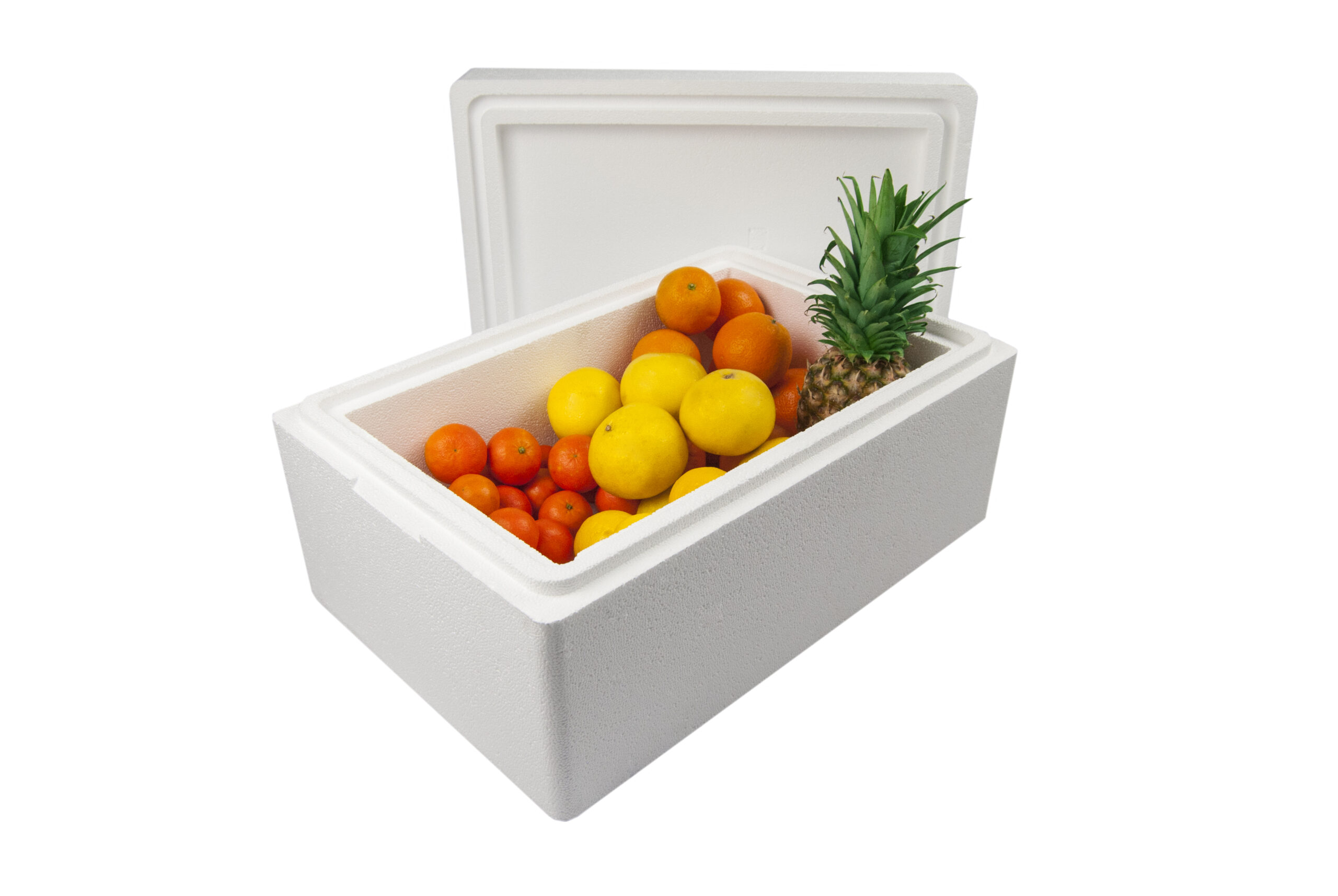 Contenitori termici realizzati in Polistirolo Espanso