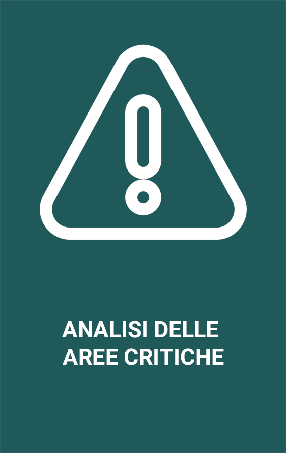 Analisi delle aree critiche_The_IES_Group