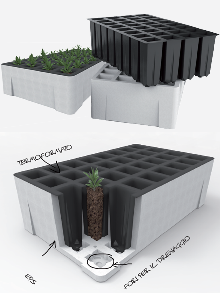 Seminiere_per_foreste_The_IES_Group