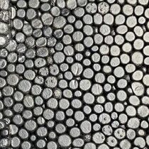 Alla scoperta dell'Eco Black One®