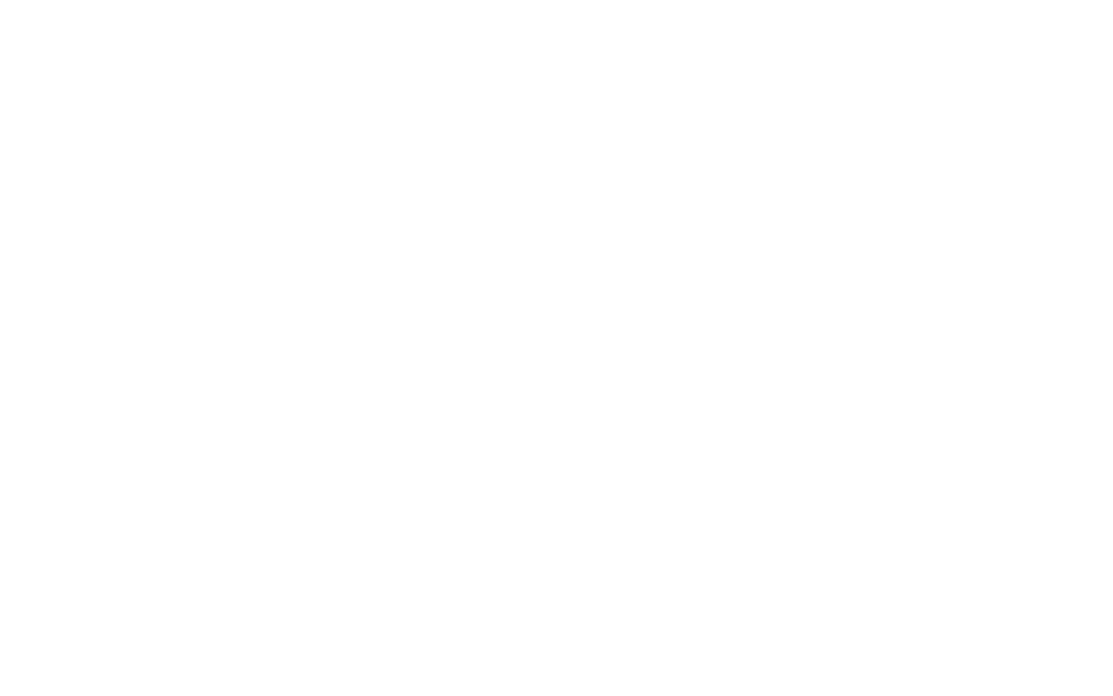 Infografica_The_IES_Group